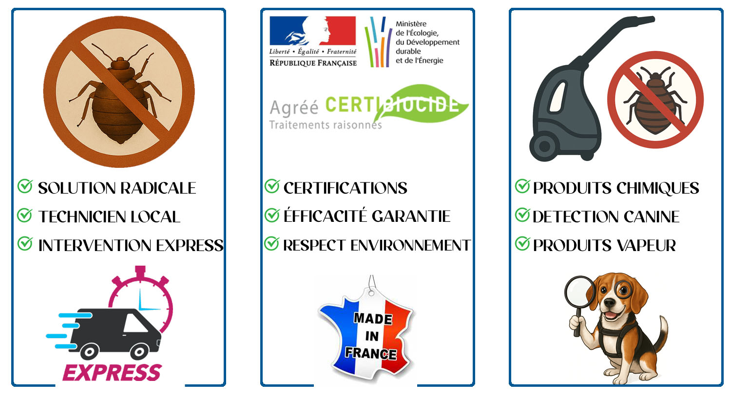 Punaises de Lit Villeneuve le Roi